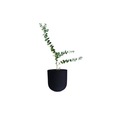 Diversifolia Green (Demo)