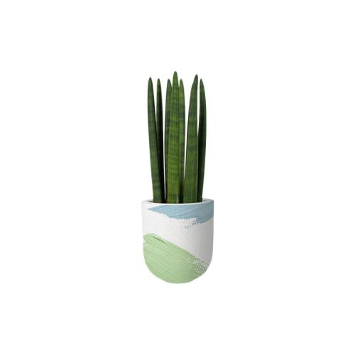 Cylindrical snake plant (Demo)